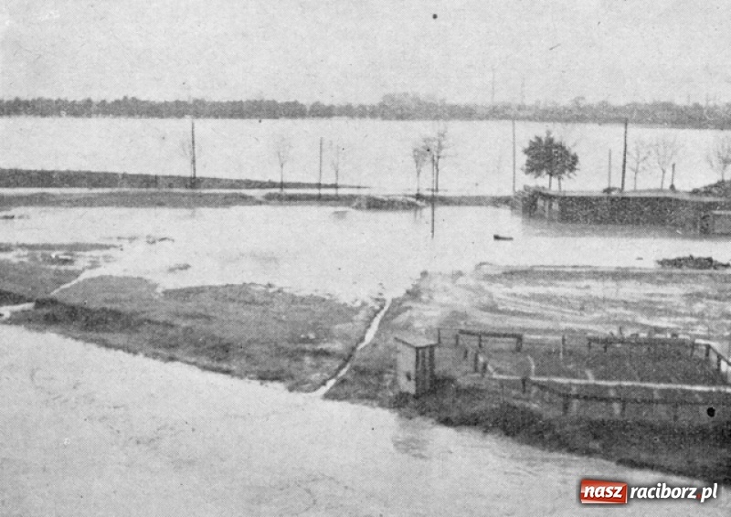 Zdjęcie w galerii na portalu naszraciborz.pl: Wezbrania Odry w Raciborzu i okolicach na starej fotografii wiadomości z regionu