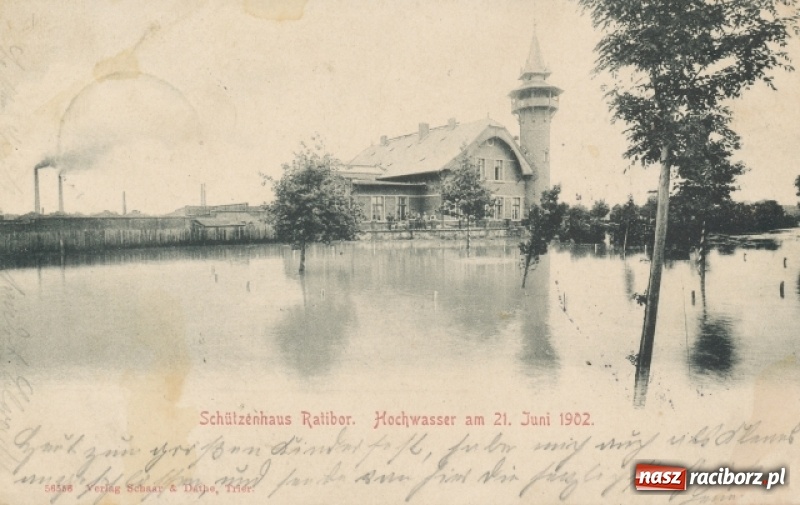 Zdjęcie w galerii na portalu naszraciborz.pl: Wezbrania Odry w Raciborzu i okolicach na starej fotografii wiadomości z regionu