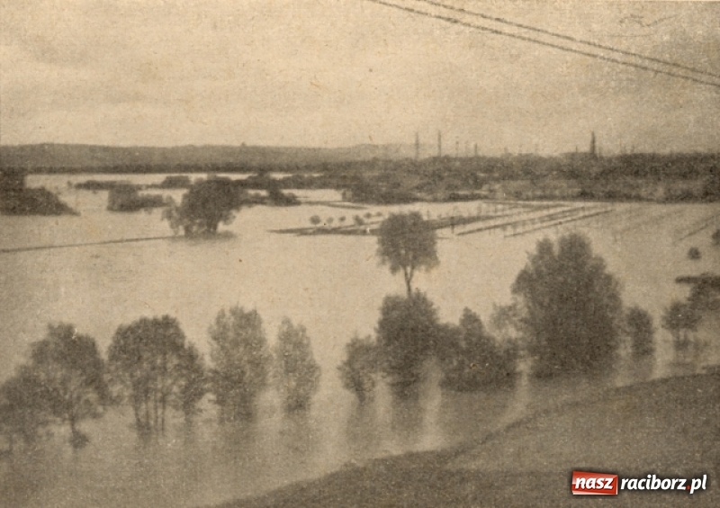 Zdjęcie w galerii na portalu naszraciborz.pl: Wezbrania Odry w Raciborzu i okolicach na starej fotografii wiadomości z regionu
