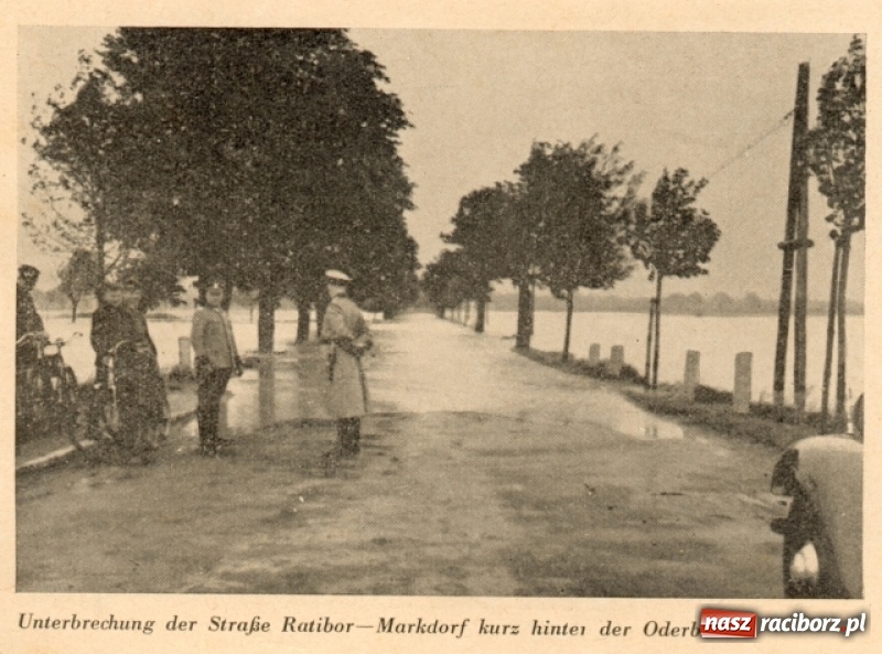 Zdjęcie w galerii na portalu naszraciborz.pl: Wezbrania Odry w Raciborzu i okolicach na starej fotografii wiadomości z regionu