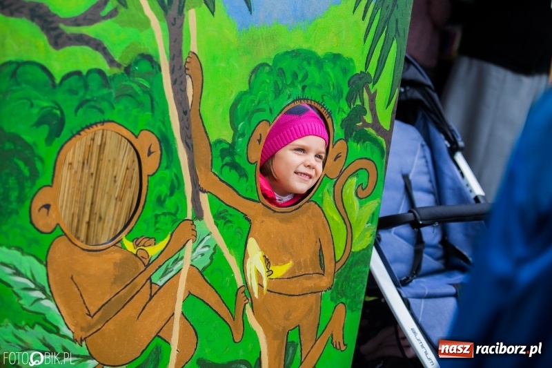 Zdjęcie w galerii na portalu naszraciborz.pl: Młodzi dla Kamerunu, czyli V Spotkanie z Afryką wiadomości z regionu