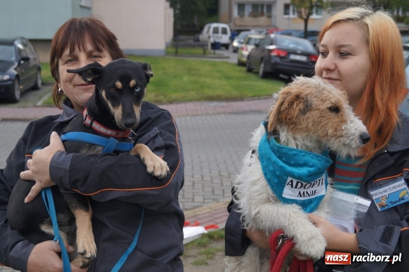 Zdjęcie w galerii na portalu naszraciborz.pl: Klub Strefa żegna lato i zaprasza do siebie wiadomości z regionu