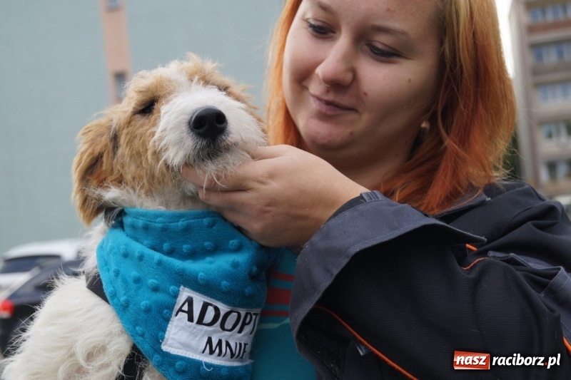 Zdjęcie w galerii na portalu naszraciborz.pl: Klub Strefa żegna lato i zaprasza do siebie wiadomości z regionu