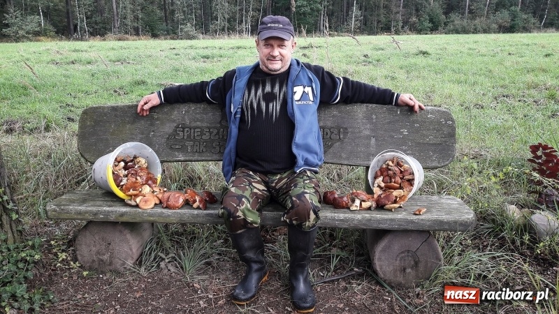 Zdjęcie w galerii na portalu naszraciborz.pl: Wysyp grzybów w raciborskich lasach FOTO  wiadomości z regionu