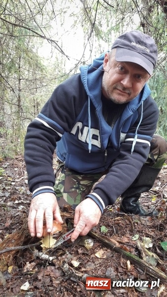 Zdjęcie w galerii na portalu naszraciborz.pl: Wysyp grzybów w raciborskich lasach FOTO  wiadomości z regionu