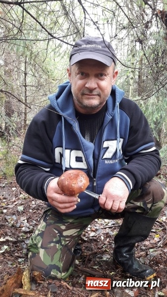 Zdjęcie w galerii na portalu naszraciborz.pl: Wysyp grzybów w raciborskich lasach FOTO  wiadomości z regionu