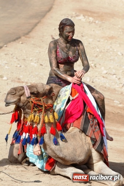 Zdjęcie w galerii na portalu naszraciborz.pl: Z Raciborza do Ziemi Świętej-ruszaj z nami!  wiadomości z regionu