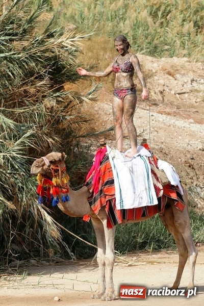 Zdjęcie w galerii na portalu naszraciborz.pl: Z Raciborza do Ziemi Świętej-ruszaj z nami!  wiadomości z regionu