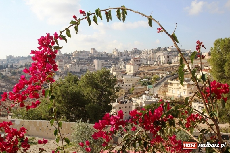 Zdjęcie w galerii na portalu naszraciborz.pl: Z Raciborza do Ziemi Świętej-ruszaj z nami!  wiadomości z regionu