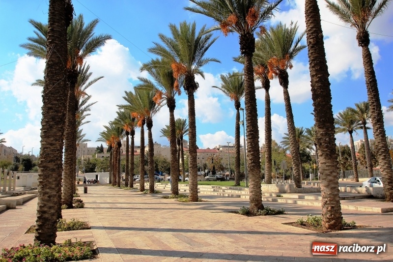 Zdjęcie w galerii na portalu naszraciborz.pl: Z Raciborza do Ziemi Świętej-ruszaj z nami!  wiadomości z regionu