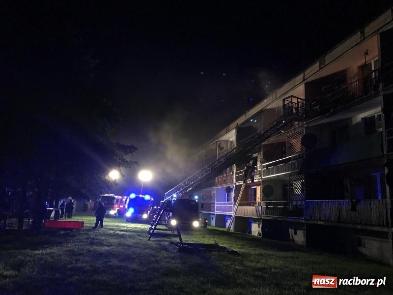 Zdjęcie w galerii na portalu naszraciborz.pl: Pożar w mieszkaniu w bloku przy ulicy Poprzecznej w Krzyżanowicach FOTO i WIDEO wiadomości z regionu