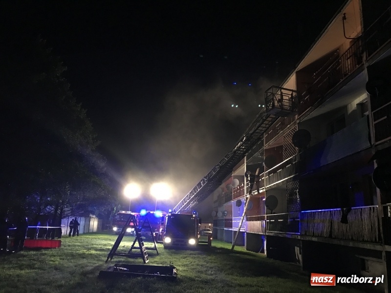 Zdjęcie w galerii na portalu naszraciborz.pl: Pożar w mieszkaniu w bloku przy ulicy Poprzecznej w Krzyżanowicach FOTO i WIDEO wiadomości z regionu