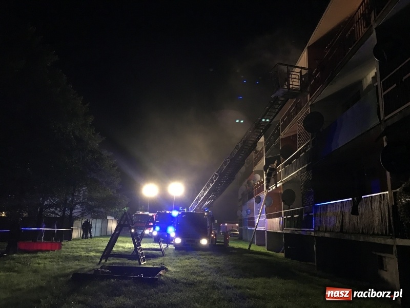 Zdjęcie w galerii na portalu naszraciborz.pl: Pożar w mieszkaniu w bloku przy ulicy Poprzecznej w Krzyżanowicach FOTO i WIDEO wiadomości z regionu