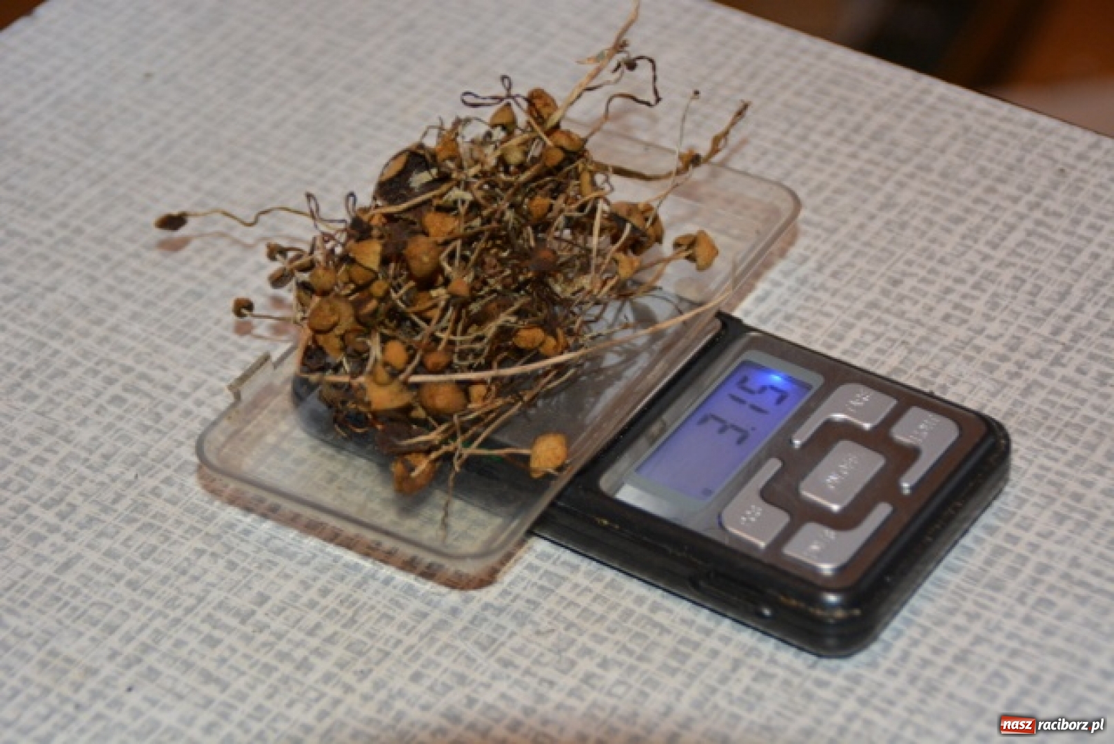 Zdjęcie w galerii na portalu naszraciborz.pl: Śląska Straż Graniczna z Raciborza rozbiła grupę rozprowadzającą narkotyki i dopalacze wiadomości z regionu