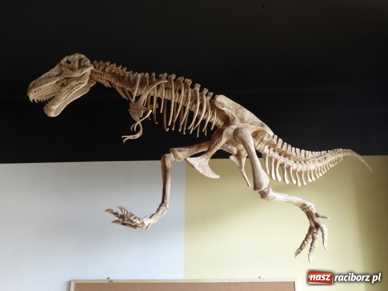 Zdjęcie w galerii na portalu naszraciborz.pl: Otwarto kolejną Zieloną Pracownię wiadomości z regionu