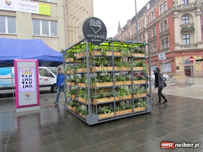 Zdjęcie w galerii na portalu naszraciborz.pl: III Dni Energii Miasta Katowice wiadomości z regionu