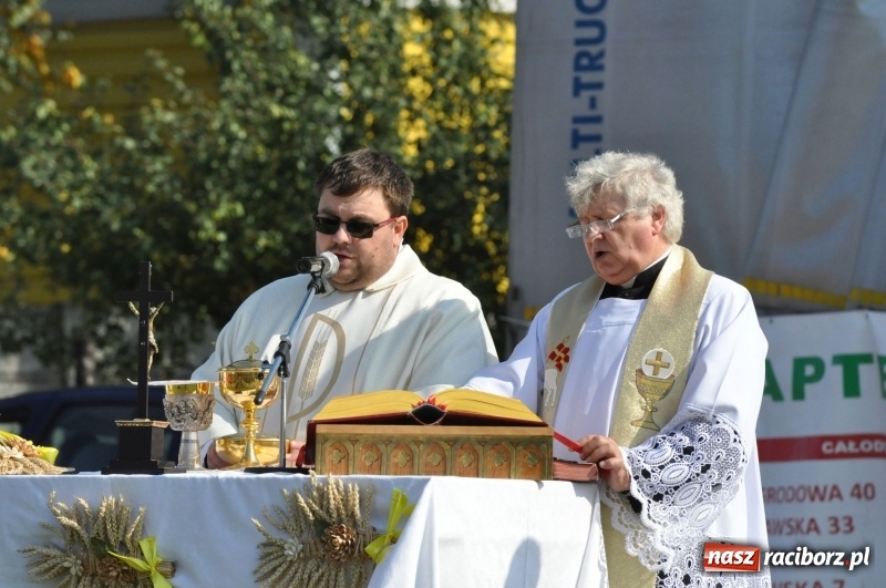 Zdjęcie w galerii na portalu naszraciborz.pl: Wielki piknik konny na Ostrogu, czyli raciborski Hubertus 2017 FOTO i WIDEO wiadomości z regionu