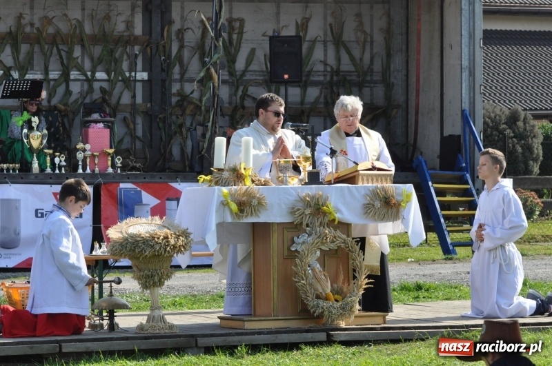 Zdjęcie w galerii na portalu naszraciborz.pl: Wielki piknik konny na Ostrogu, czyli raciborski Hubertus 2017 FOTO i WIDEO wiadomości z regionu