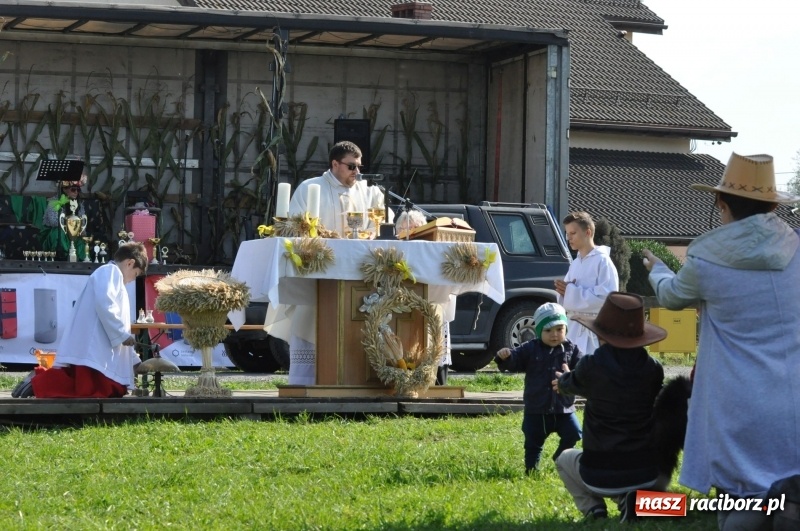 Zdjęcie w galerii na portalu naszraciborz.pl: Wielki piknik konny na Ostrogu, czyli raciborski Hubertus 2017 FOTO i WIDEO wiadomości z regionu