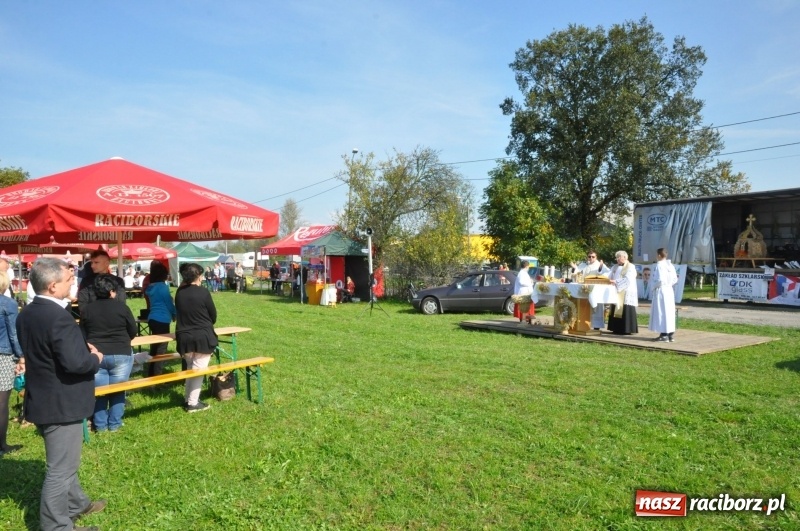 Zdjęcie w galerii na portalu naszraciborz.pl: Wielki piknik konny na Ostrogu, czyli raciborski Hubertus 2017 FOTO i WIDEO wiadomości z regionu