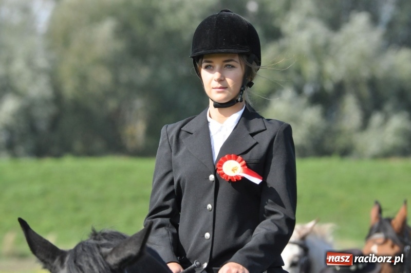 Zdjęcie w galerii na portalu naszraciborz.pl: Wielki piknik konny na Ostrogu, czyli raciborski Hubertus 2017 FOTO i WIDEO wiadomości z regionu
