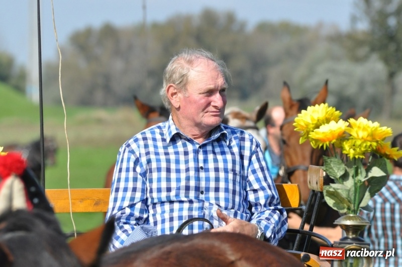 Zdjęcie w galerii na portalu naszraciborz.pl: Wielki piknik konny na Ostrogu, czyli raciborski Hubertus 2017 FOTO i WIDEO wiadomości z regionu