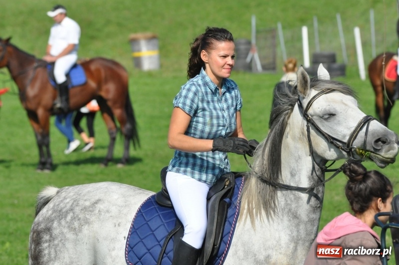 Zdjęcie w galerii na portalu naszraciborz.pl: Wielki piknik konny na Ostrogu, czyli raciborski Hubertus 2017 FOTO i WIDEO wiadomości z regionu