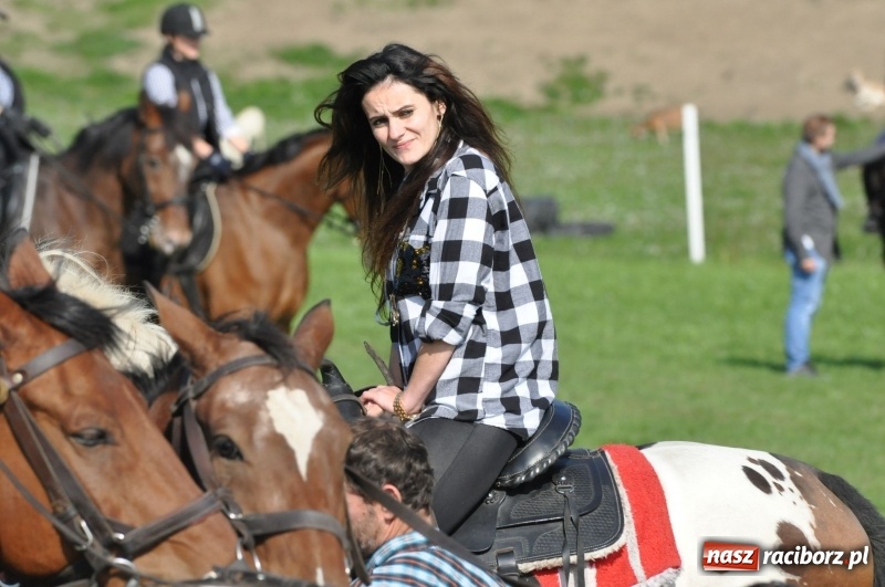 Zdjęcie w galerii na portalu naszraciborz.pl: Wielki piknik konny na Ostrogu, czyli raciborski Hubertus 2017 FOTO i WIDEO wiadomości z regionu