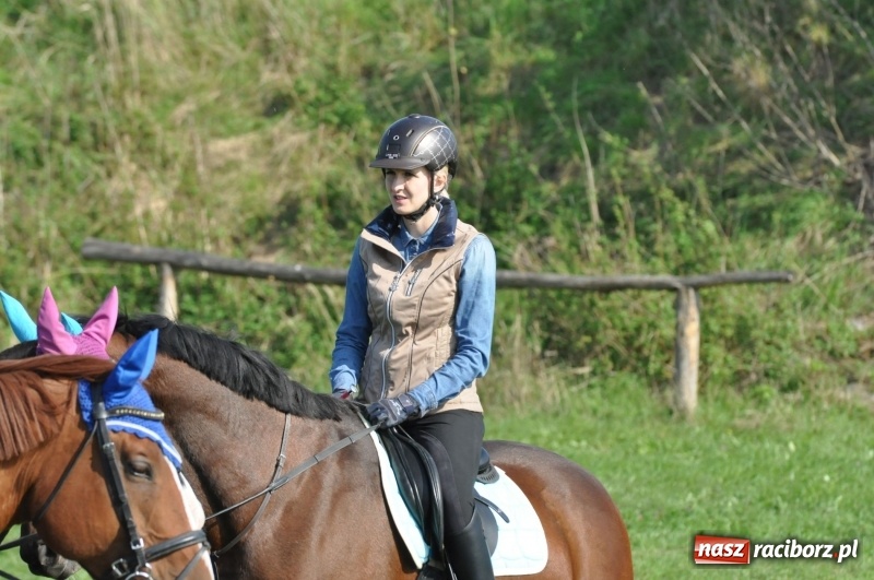 Zdjęcie w galerii na portalu naszraciborz.pl: Wielki piknik konny na Ostrogu, czyli raciborski Hubertus 2017 FOTO i WIDEO wiadomości z regionu