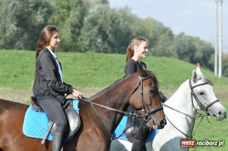 Zdjęcie w galerii na portalu naszraciborz.pl: Wielki piknik konny na Ostrogu, czyli raciborski Hubertus 2017 FOTO i WIDEO wiadomości z regionu