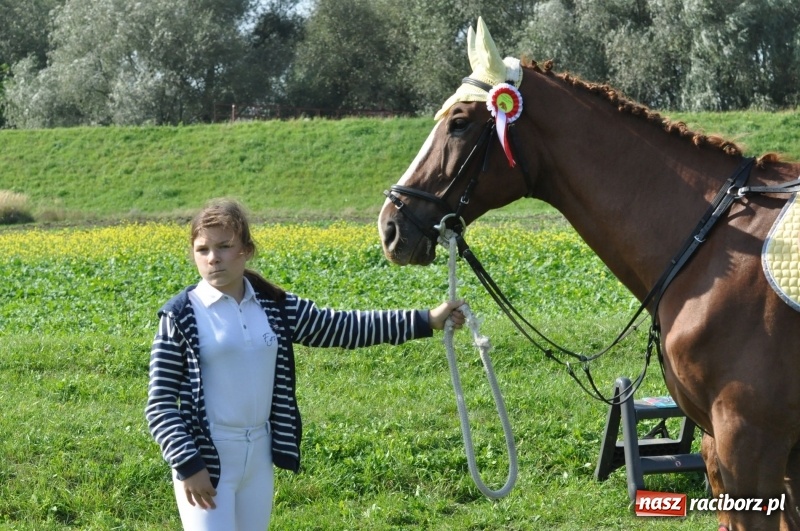 Zdjęcie w galerii na portalu naszraciborz.pl: Wielki piknik konny na Ostrogu, czyli raciborski Hubertus 2017 FOTO i WIDEO wiadomości z regionu