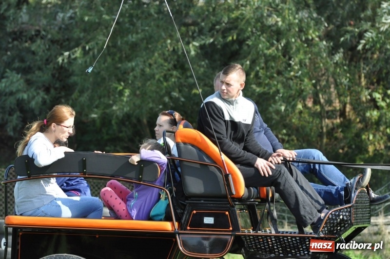 Zdjęcie w galerii na portalu naszraciborz.pl: Wielki piknik konny na Ostrogu, czyli raciborski Hubertus 2017 FOTO i WIDEO wiadomości z regionu