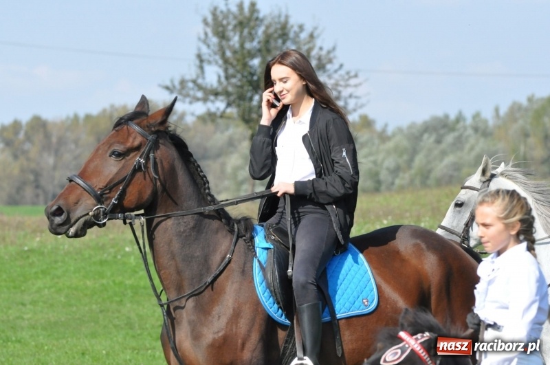 Zdjęcie w galerii na portalu naszraciborz.pl: Wielki piknik konny na Ostrogu, czyli raciborski Hubertus 2017 FOTO i WIDEO wiadomości z regionu