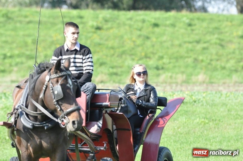 Zdjęcie w galerii na portalu naszraciborz.pl: Wielki piknik konny na Ostrogu, czyli raciborski Hubertus 2017 FOTO i WIDEO wiadomości z regionu