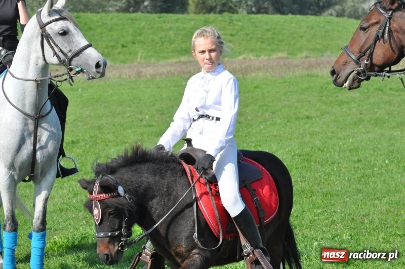 Zdjęcie w galerii na portalu naszraciborz.pl: Wielki piknik konny na Ostrogu, czyli raciborski Hubertus 2017 FOTO i WIDEO wiadomości z regionu