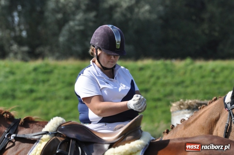 Zdjęcie w galerii na portalu naszraciborz.pl: Wielki piknik konny na Ostrogu, czyli raciborski Hubertus 2017 FOTO i WIDEO wiadomości z regionu