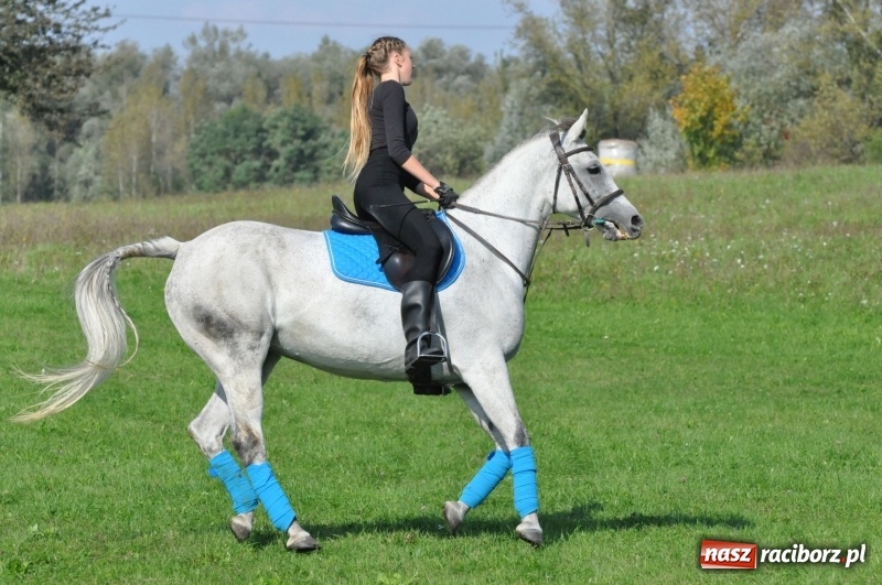 Zdjęcie w galerii na portalu naszraciborz.pl: Wielki piknik konny na Ostrogu, czyli raciborski Hubertus 2017 FOTO i WIDEO wiadomości z regionu