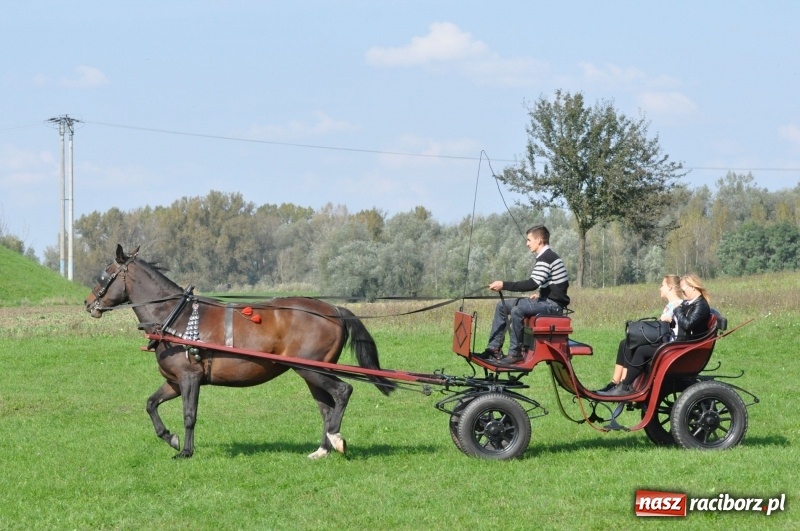 Zdjęcie w galerii na portalu naszraciborz.pl: Wielki piknik konny na Ostrogu, czyli raciborski Hubertus 2017 FOTO i WIDEO wiadomości z regionu