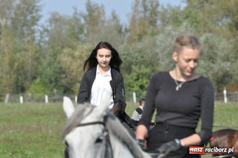 Zdjęcie w galerii na portalu naszraciborz.pl: Wielki piknik konny na Ostrogu, czyli raciborski Hubertus 2017 FOTO i WIDEO wiadomości z regionu