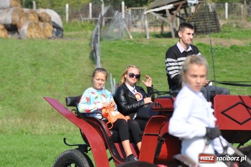 Zdjęcie w galerii na portalu naszraciborz.pl: Wielki piknik konny na Ostrogu, czyli raciborski Hubertus 2017 FOTO i WIDEO wiadomości z regionu