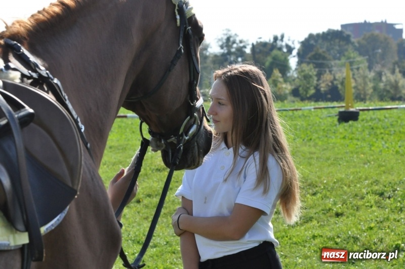 Zdjęcie w galerii na portalu naszraciborz.pl: Wielki piknik konny na Ostrogu, czyli raciborski Hubertus 2017 FOTO i WIDEO wiadomości z regionu