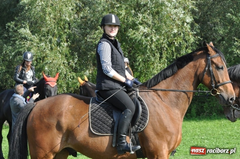 Zdjęcie w galerii na portalu naszraciborz.pl: Wielki piknik konny na Ostrogu, czyli raciborski Hubertus 2017 FOTO i WIDEO wiadomości z regionu