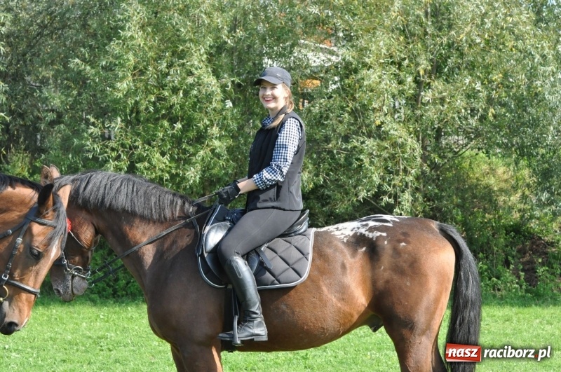 Zdjęcie w galerii na portalu naszraciborz.pl: Wielki piknik konny na Ostrogu, czyli raciborski Hubertus 2017 FOTO i WIDEO wiadomości z regionu