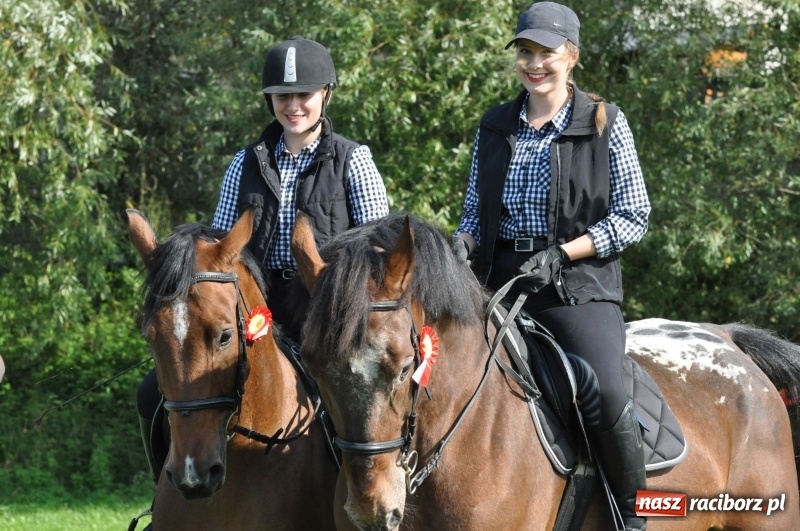 Zdjęcie w galerii na portalu naszraciborz.pl: Wielki piknik konny na Ostrogu, czyli raciborski Hubertus 2017 FOTO i WIDEO wiadomości z regionu