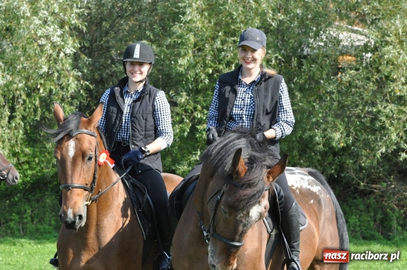 Zdjęcie w galerii na portalu naszraciborz.pl: Wielki piknik konny na Ostrogu, czyli raciborski Hubertus 2017 FOTO i WIDEO wiadomości z regionu