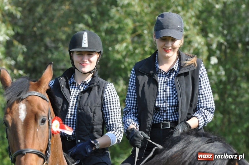 Zdjęcie w galerii na portalu naszraciborz.pl: Wielki piknik konny na Ostrogu, czyli raciborski Hubertus 2017 FOTO i WIDEO wiadomości z regionu