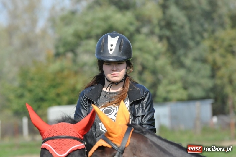 Zdjęcie w galerii na portalu naszraciborz.pl: Wielki piknik konny na Ostrogu, czyli raciborski Hubertus 2017 FOTO i WIDEO wiadomości z regionu
