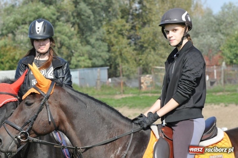 Zdjęcie w galerii na portalu naszraciborz.pl: Wielki piknik konny na Ostrogu, czyli raciborski Hubertus 2017 FOTO i WIDEO wiadomości z regionu