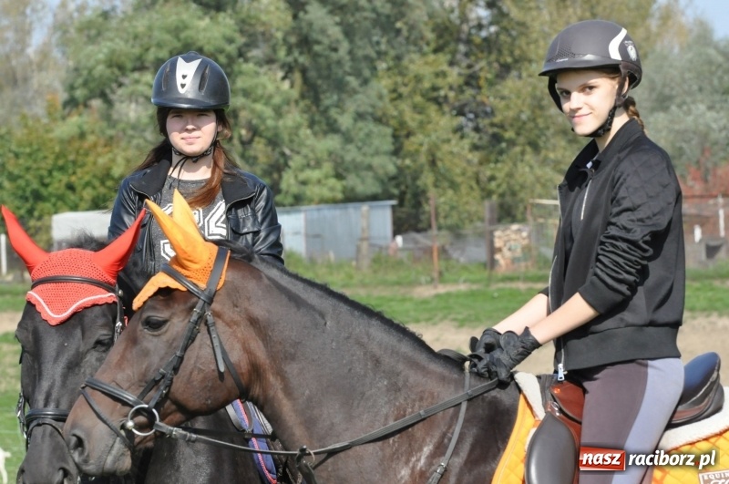 Zdjęcie w galerii na portalu naszraciborz.pl: Wielki piknik konny na Ostrogu, czyli raciborski Hubertus 2017 FOTO i WIDEO wiadomości z regionu