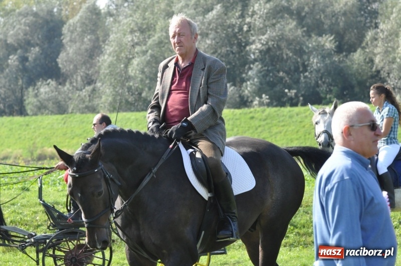 Zdjęcie w galerii na portalu naszraciborz.pl: Wielki piknik konny na Ostrogu, czyli raciborski Hubertus 2017 FOTO i WIDEO wiadomości z regionu
